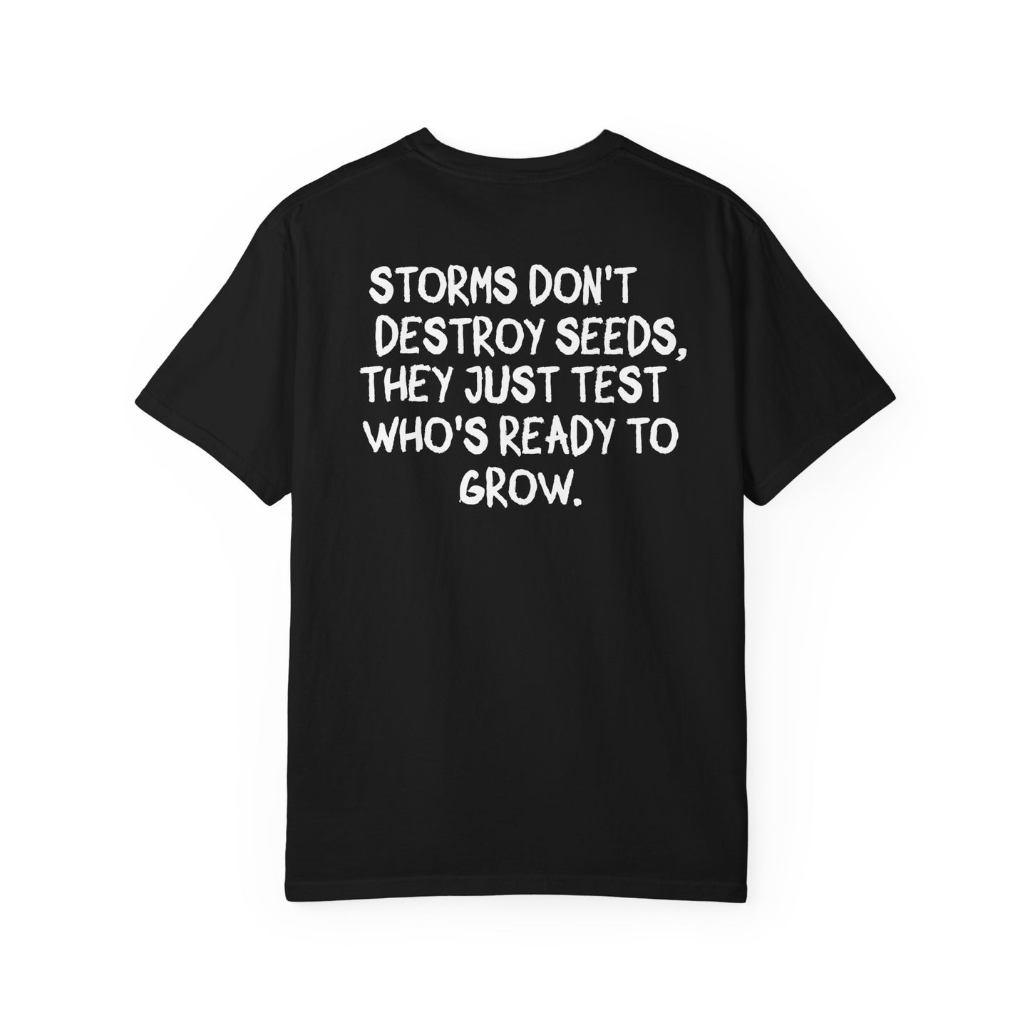 'Storms Don't Destroy Seeds' Oversize Cotton Tee