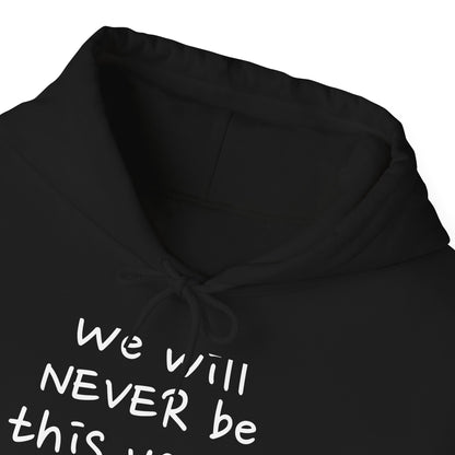 "We will never be this young again" Hoodie
